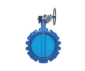 ��LT���͵��y